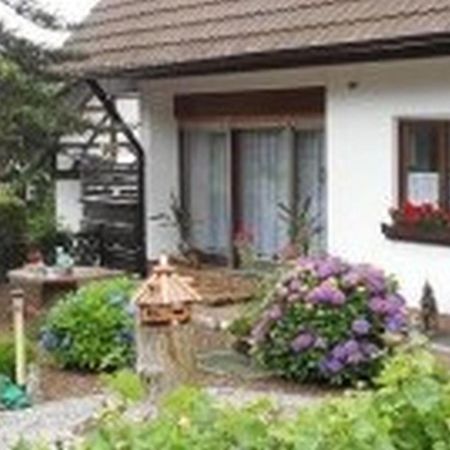 Pension Haus Monika Sasbachwalden Zewnętrze zdjęcie